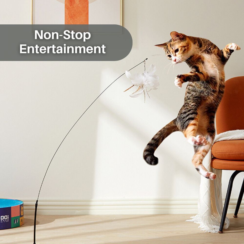 Feather Frenzy™ Interactive Cat Toy