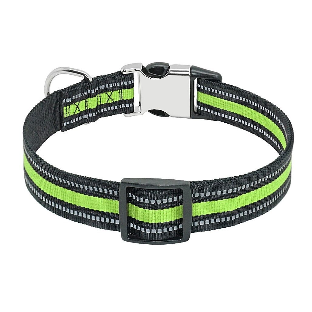 Personalized Safe-At-Night Dog Collar