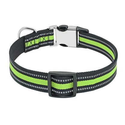 Personalized Safe-At-Night Dog Collar