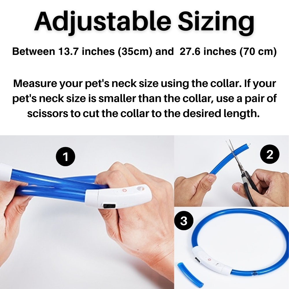 Glow Guardian™ Rechargeable LED Dog Collar