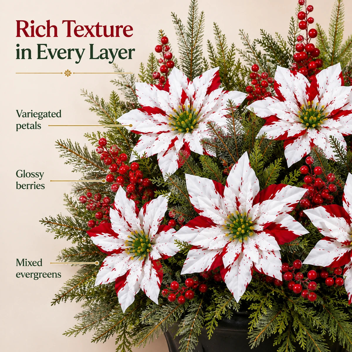 Close-up of red and white poinsettia flowers with berries and evergreen foliage