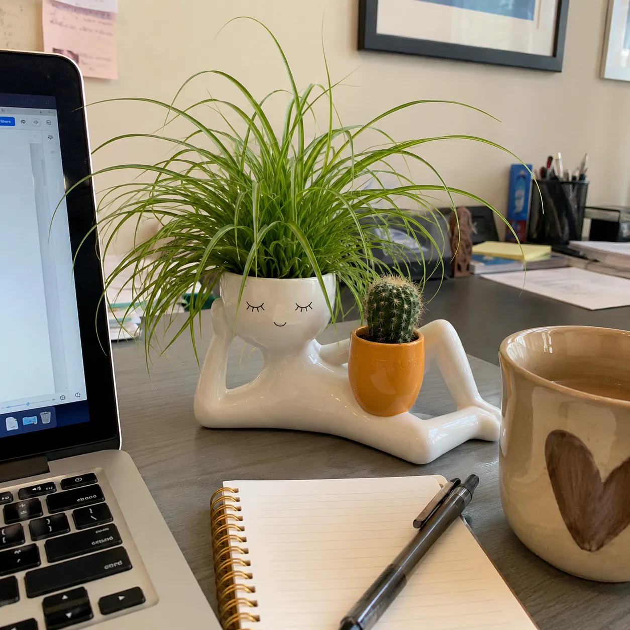 Emily Customer Desk Planter Review