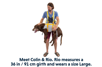 BackTrak™ Dog Evacuation Kit