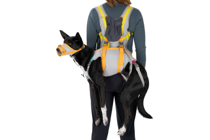 BackTrak™ Dog Evacuation Kit