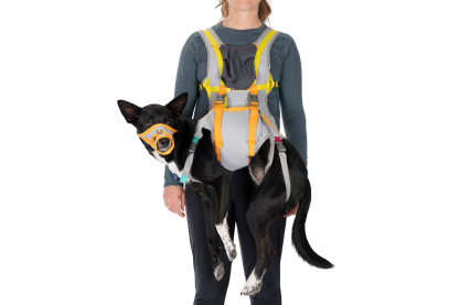BackTrak™ Dog Evacuation Kit