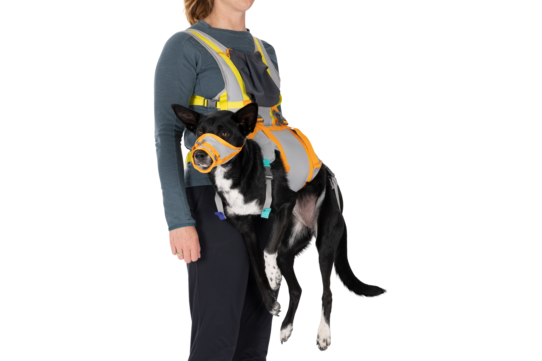 BackTrak™ Dog Evacuation Kit