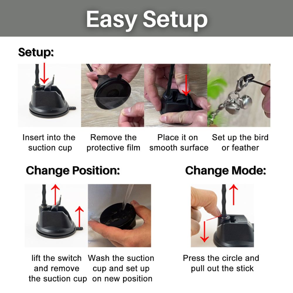 Feather Frenzy™ Interactive Cat Toy