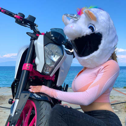 Motorcycle Helmet Cover - Unicorn