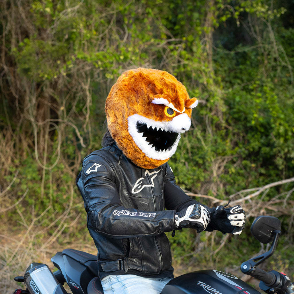 Motorcycle Helmet Cover - Bear