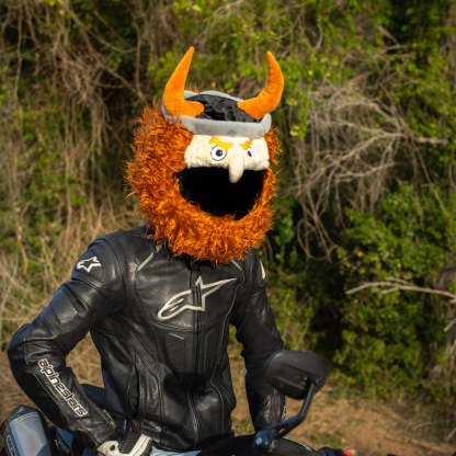 Motorcycle Helmet Cover - Viking