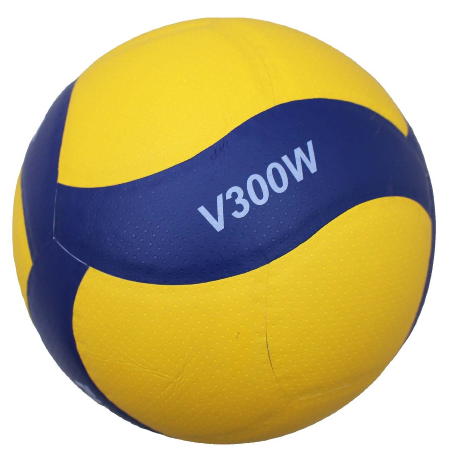 Outdoor And Indoor Volleyball Training