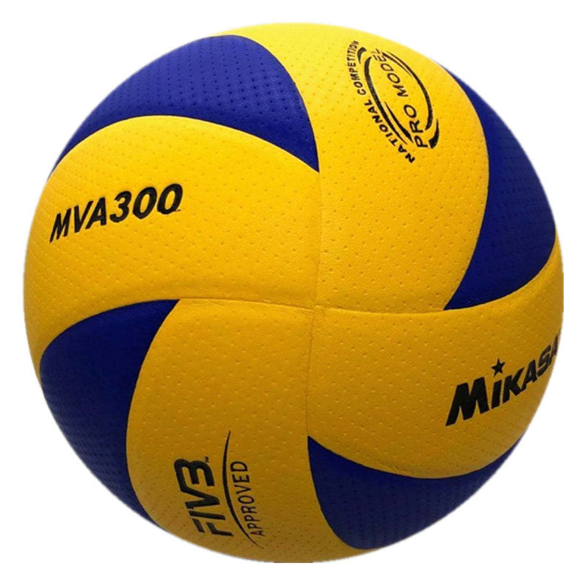 Outdoor And Indoor Volleyball Training