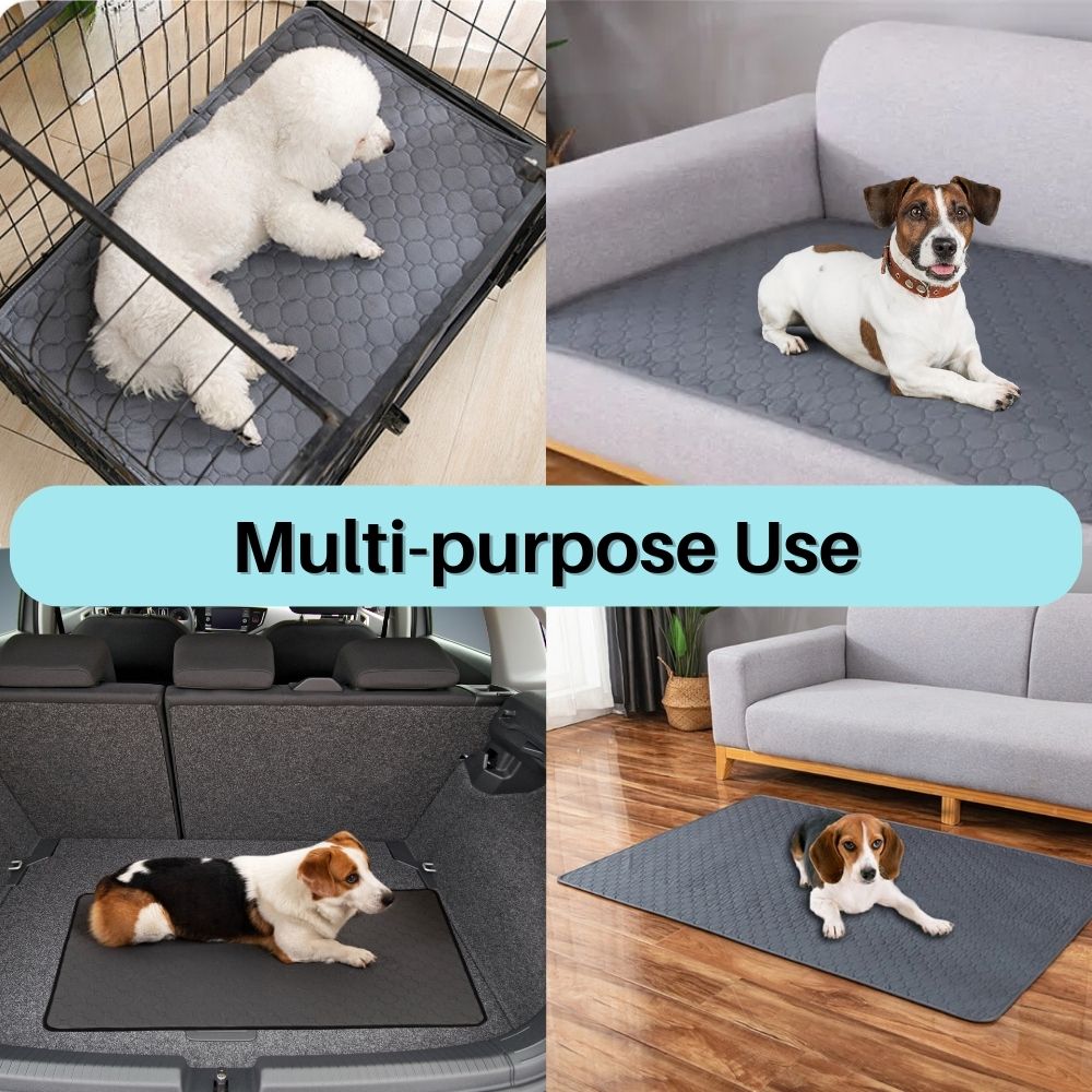 Potty Pal™ Reusable Pet Pads