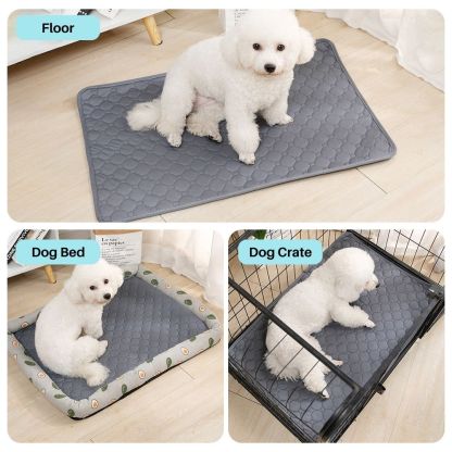 Potty Pal™ Reusable Pet Pads
