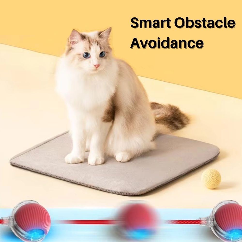 PouncePlay™ Smart Active Cat Toy