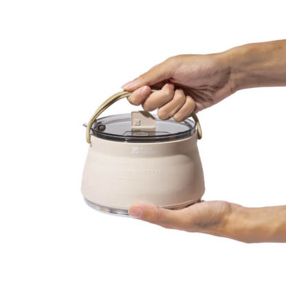 SpaceFree Foldable Kettle