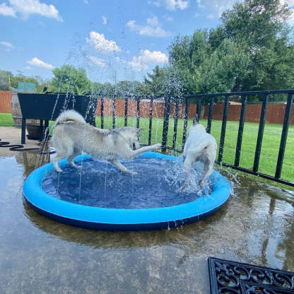 FunPup™ Splash Pool
