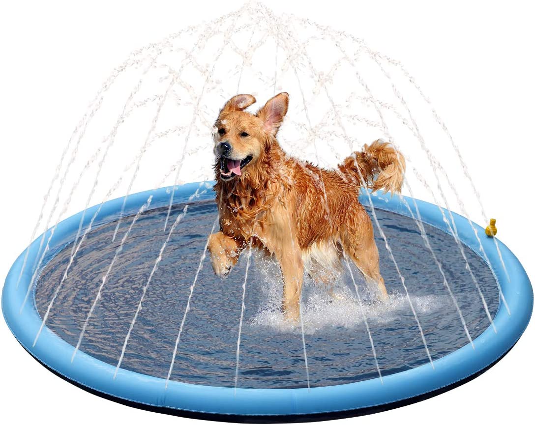 FunPup™ Splash Pool