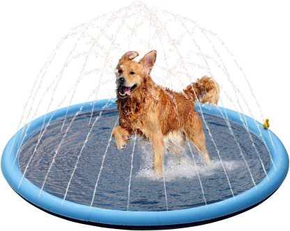 FunPup™ Splash Pool