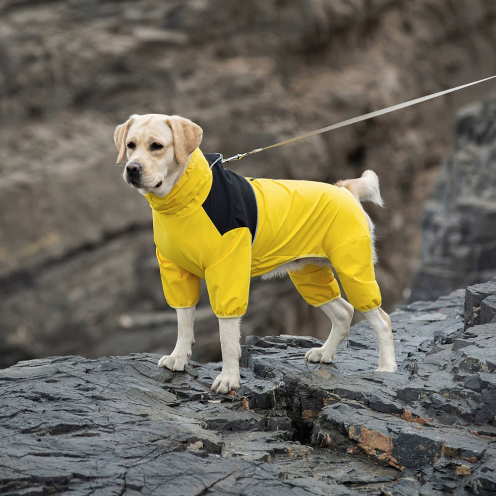 Sun Shower™ Coverall Dog Rain Suit