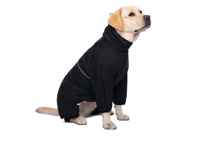 Sun Shower™ Coverall Dog Rain Suit