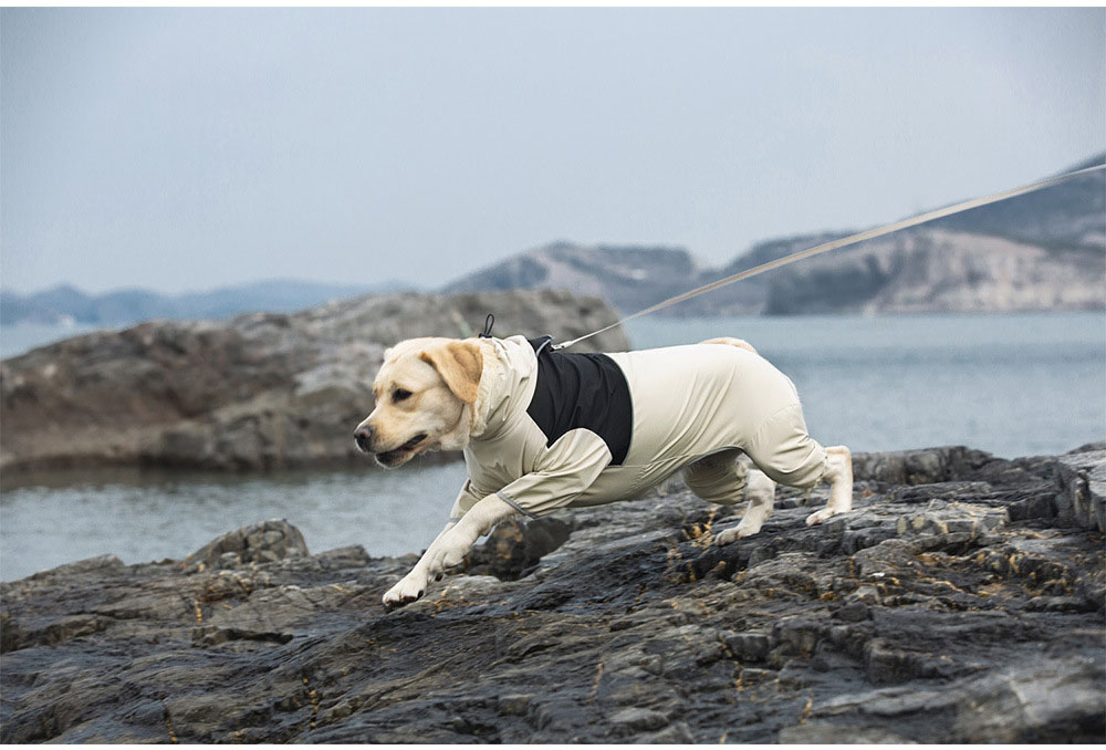 Sun Shower™ Coverall Dog Rain Suit