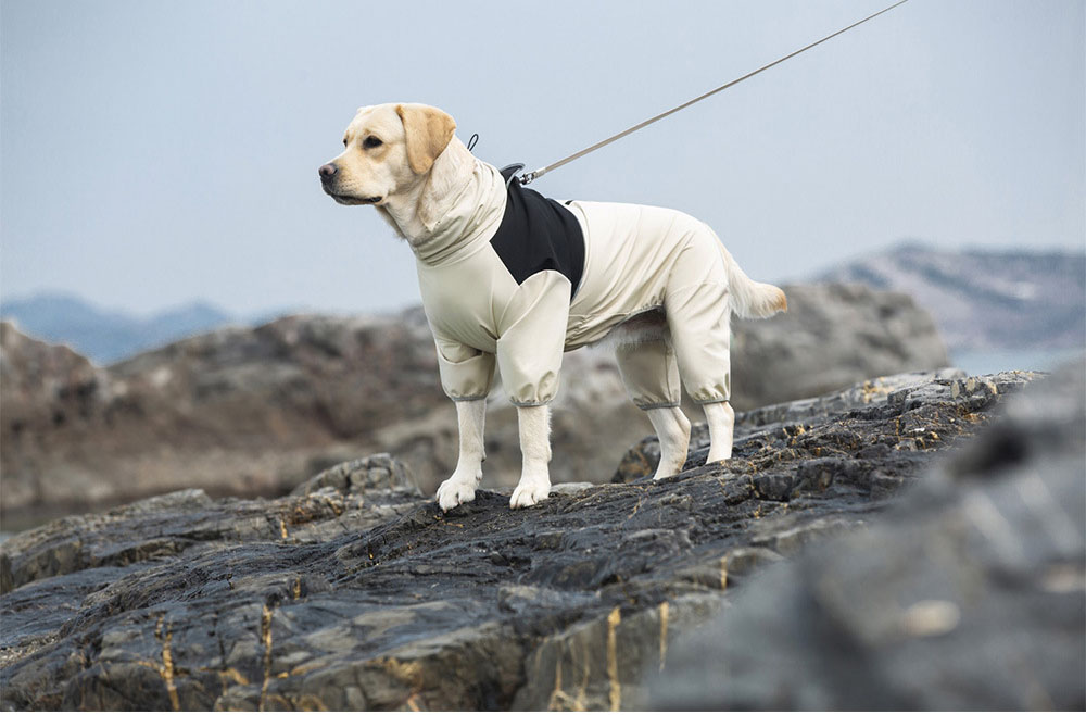 Sun Shower™ Coverall Dog Rain Suit