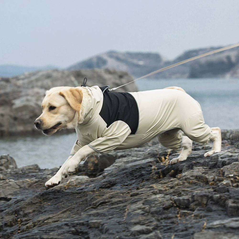 Sun Shower™ Coverall Dog Rain Suit