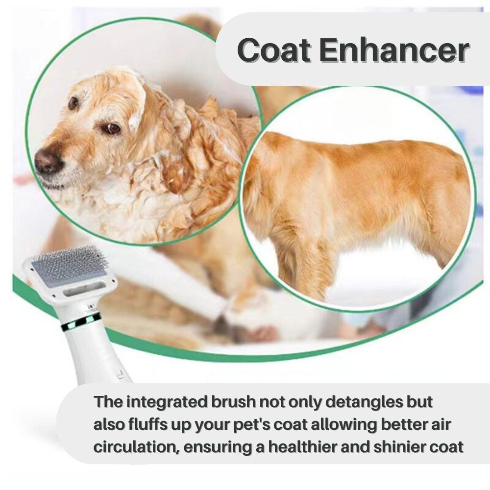 VelvetPaws™ QuickDry Pet Styler