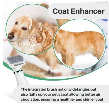 VelvetPaws™ QuickDry Pet Styler