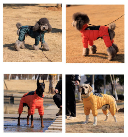 Vert™ Coverall Dog Snow Suit