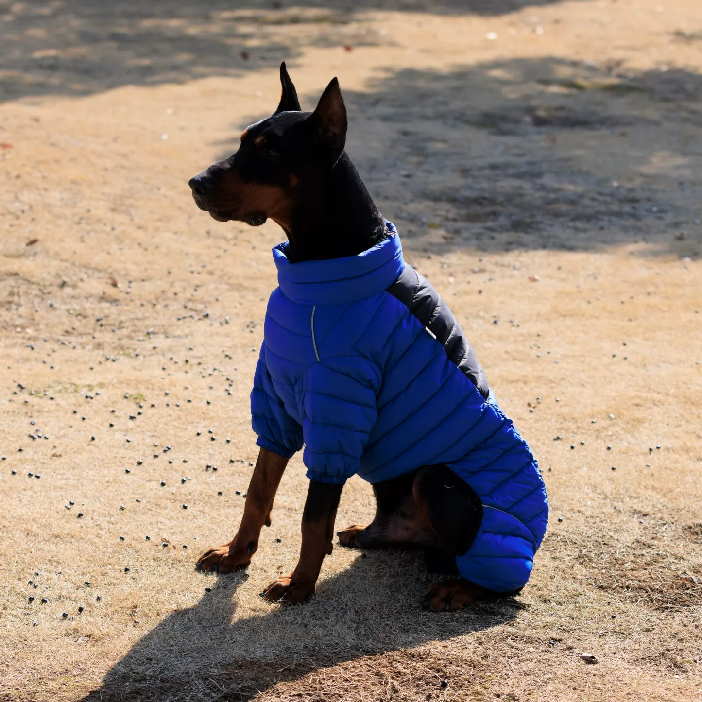 Vert™ Coverall Dog Snow Suit