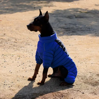 Vert™ Coverall Dog Snow Suit