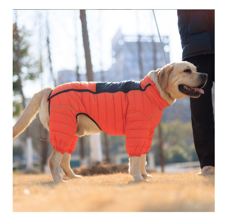 Vert™ Coverall Dog Snow Suit