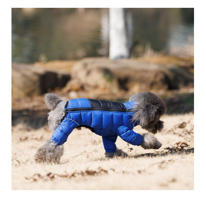 Vert™ Coverall Dog Snow Suit