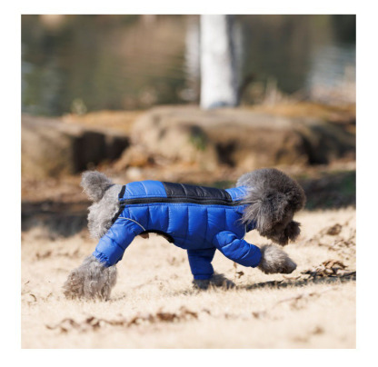 Vert™ Coverall Dog Snow Suit