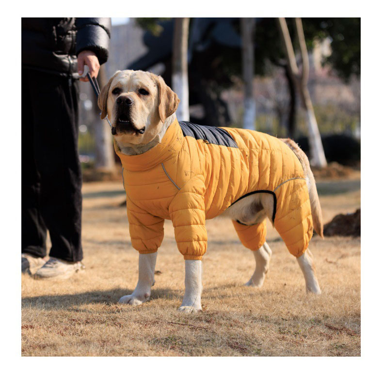 Vert™ Coverall Dog Snow Suit
