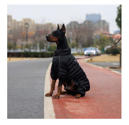 Vert™ Coverall Dog Snow Suit