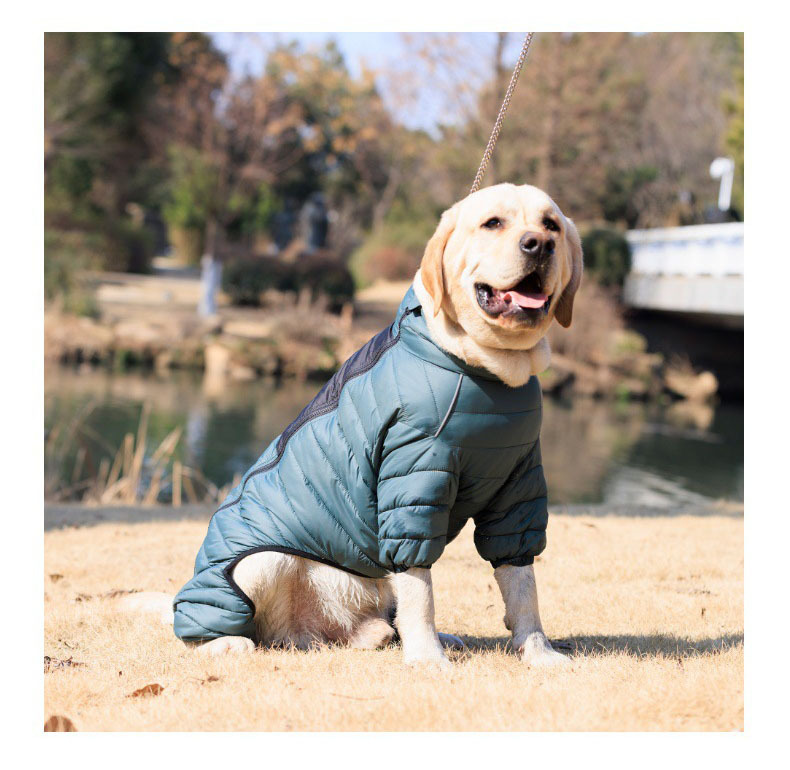Vert™ Coverall Dog Snow Suit