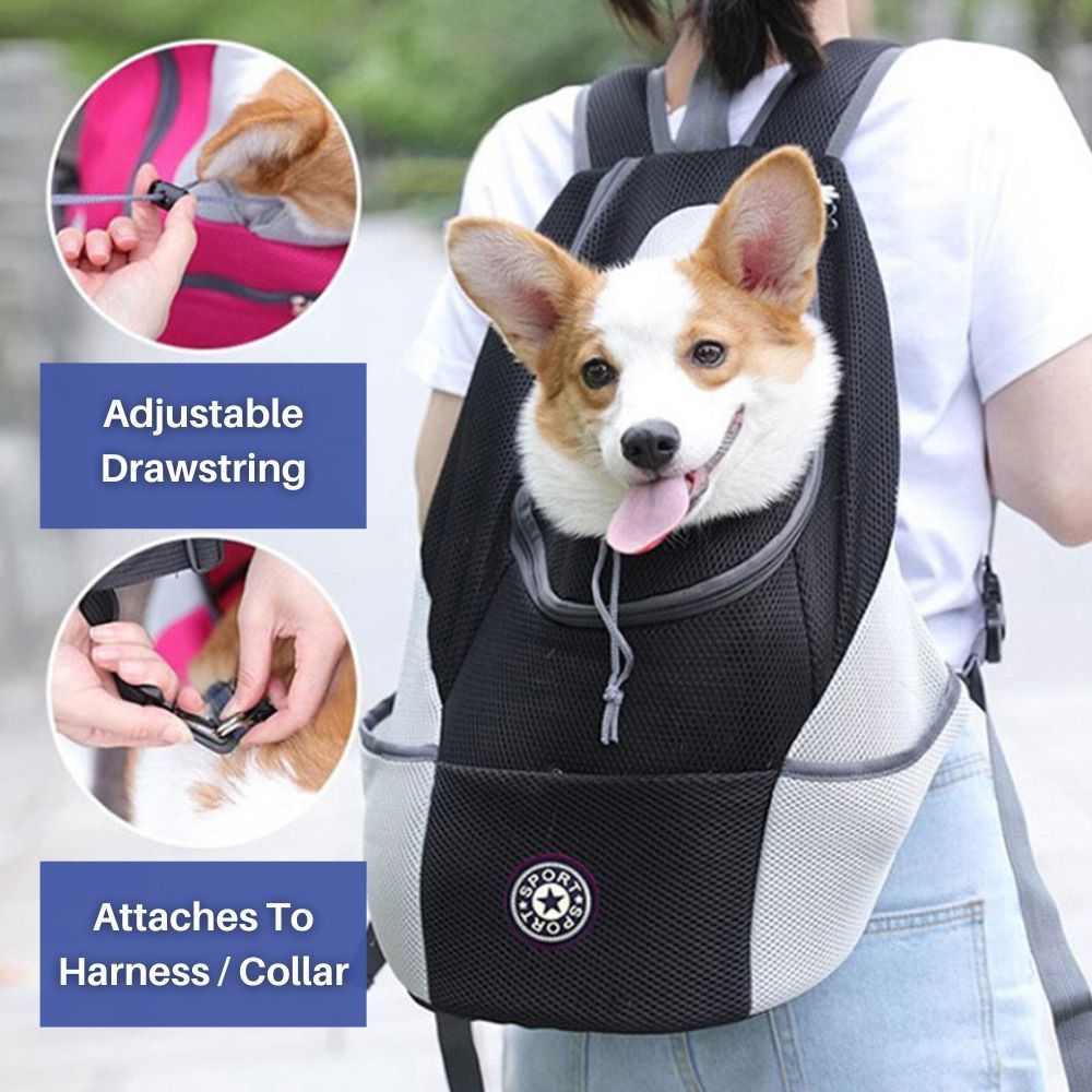 WagVenture™ Pet Pack