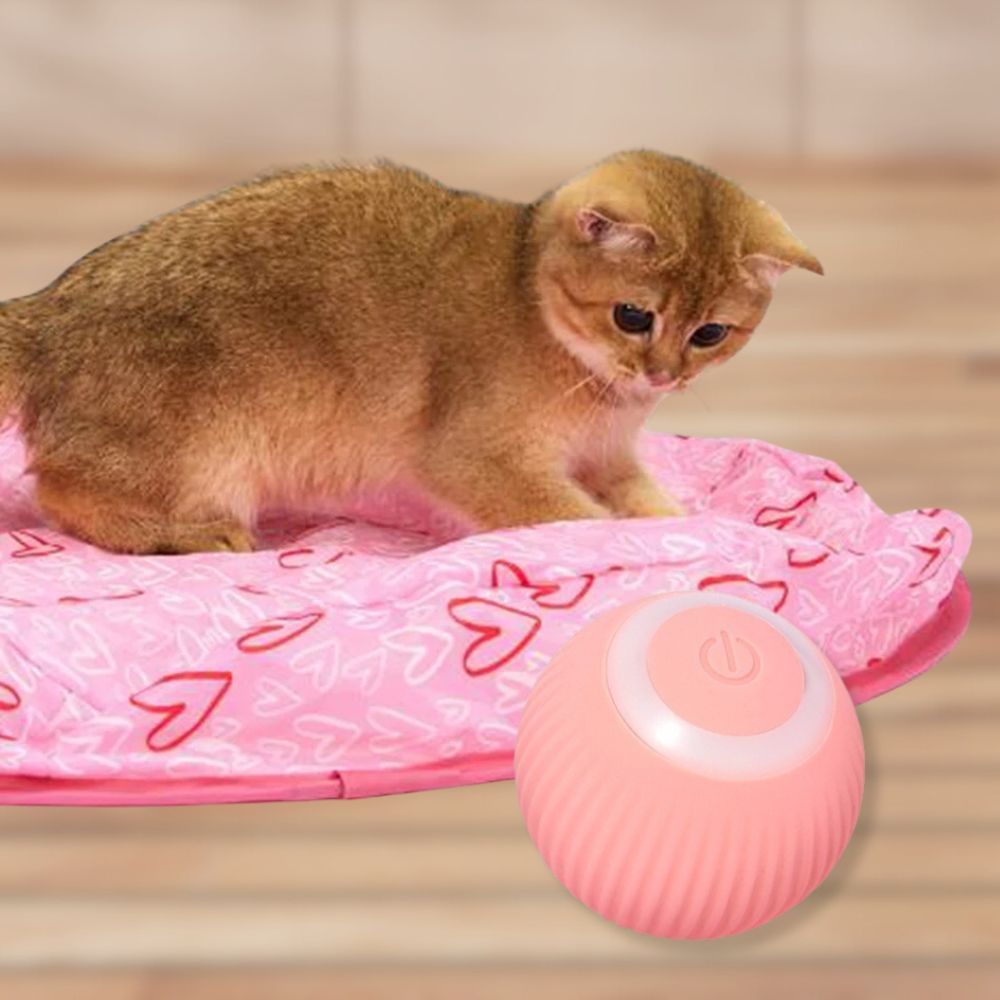 WhiskerWiz™ 2-in-1 Interactive Cat Toy