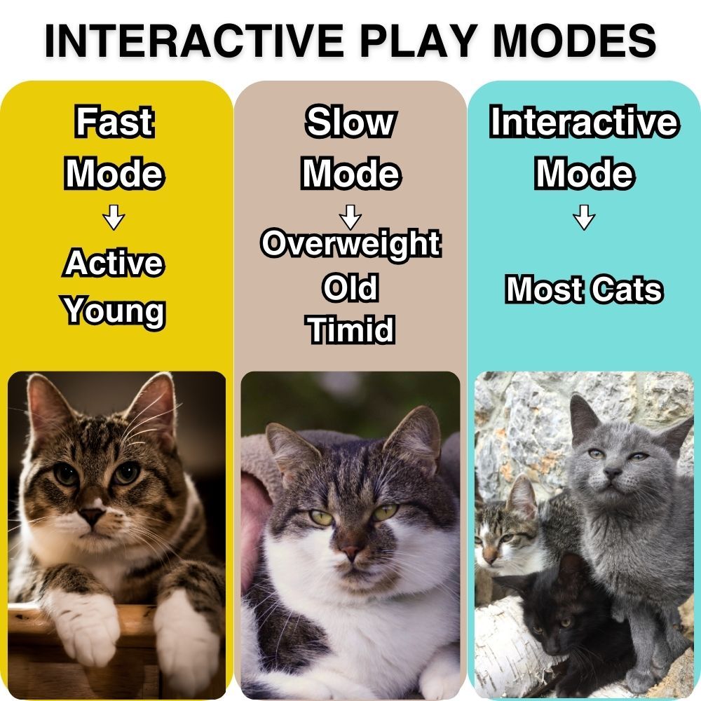 FelineFun Orb™ Interactive Cat Toy