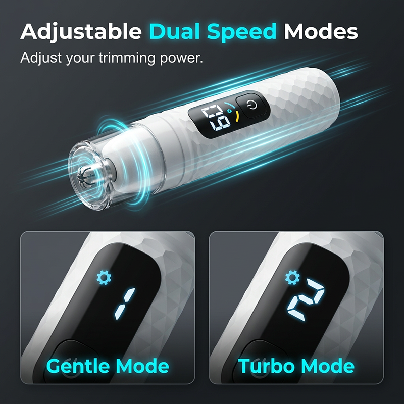 Dual adjustable speeds
