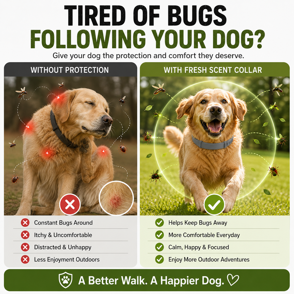Before and after pet bug protection collar