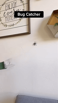 Handheld humane bug and spider catcher sliding door animation