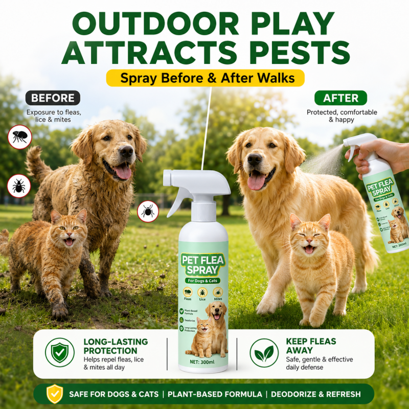 Pet flea spray for outdoor coat care
