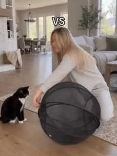 Pop Up Cat Playpen demonstrating quick folding and spacious interior
