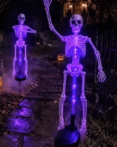 Solar light-up skeleton yard stake glowing purple for Halloween outdoor decor