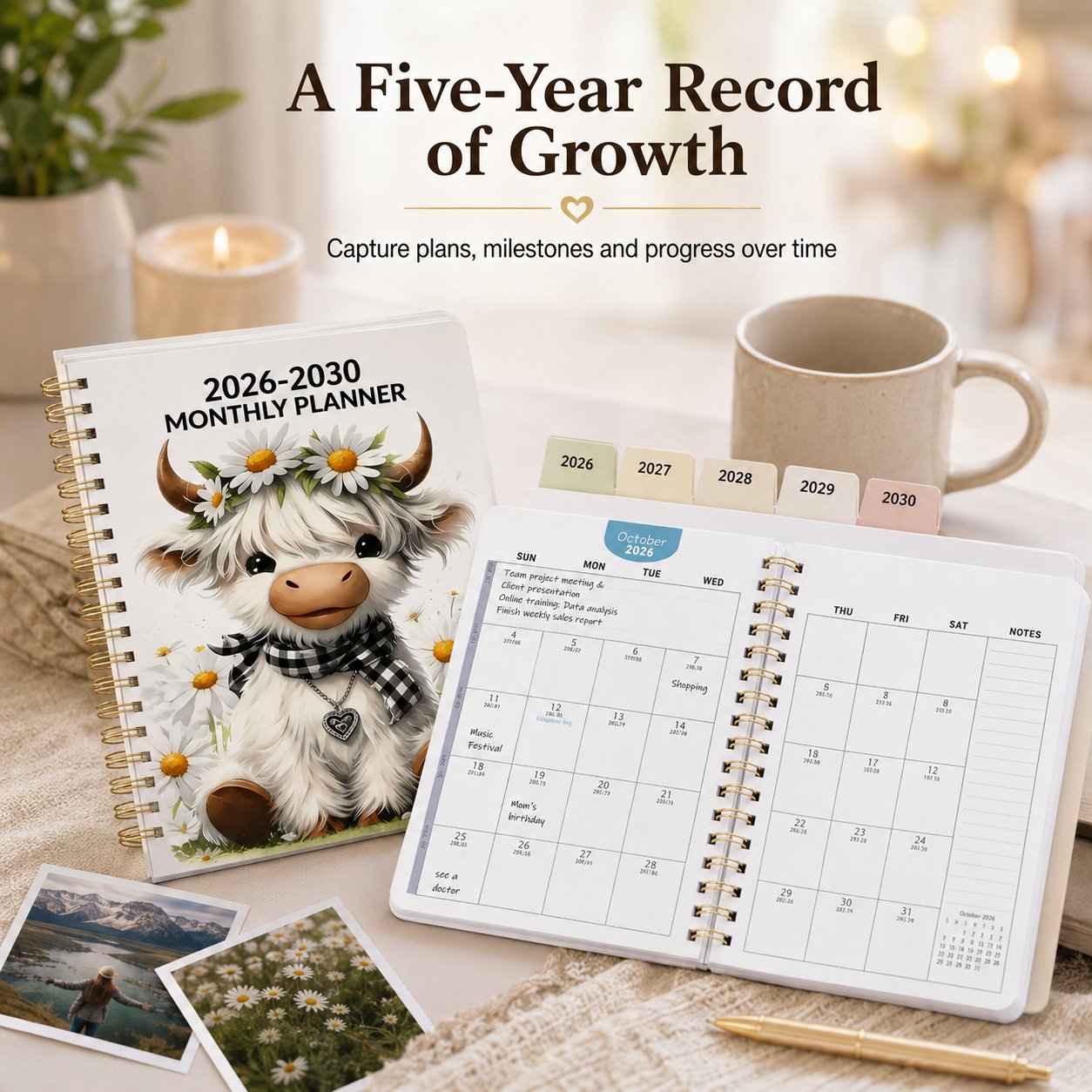 Five year personal planning and progress tracker