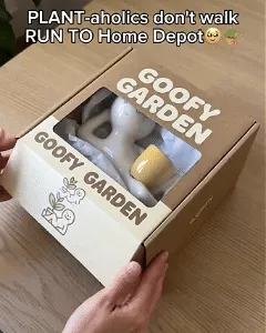 Desk Plant Buddy Planter Demonstration